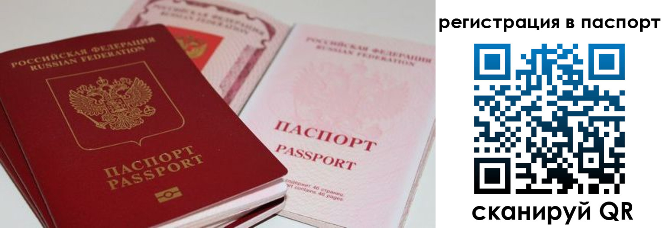 найти адрес прописки в Заполярном